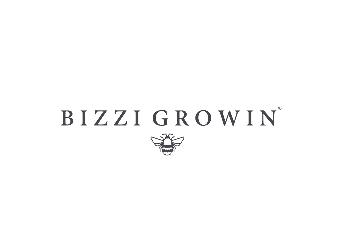 Bizzi Growin - Nomad Air baby carriers